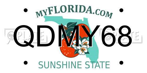 QDMY68 Florida License Plate
