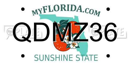 QDMZ36 Florida License Plate