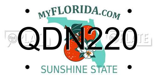 QDN220 Florida License Plate