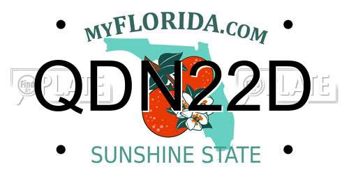QDN22D Florida License Plate
