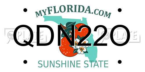QDN22O Florida License Plate