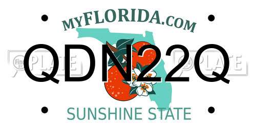 QDN22Q Florida License Plate