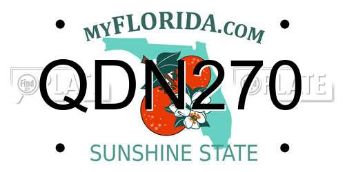 QDN270 Florida License Plate