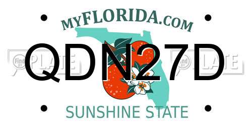 QDN27D Florida License Plate