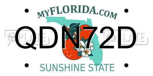 QDN72D Florida License Plate