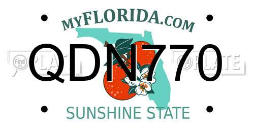 QDN770 Florida License Plate