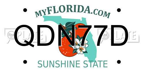 QDN77D Florida License Plate