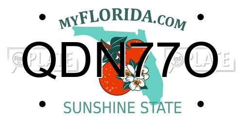 QDN77O Florida License Plate