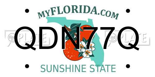 QDN77Q Florida License Plate