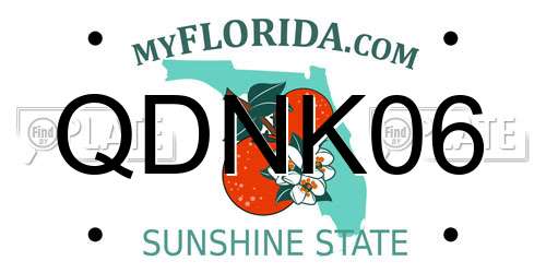 QDNK06 Florida License Plate
