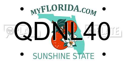 QDNL40 Florida License Plate