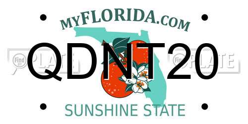 QDNT20 Florida License Plate