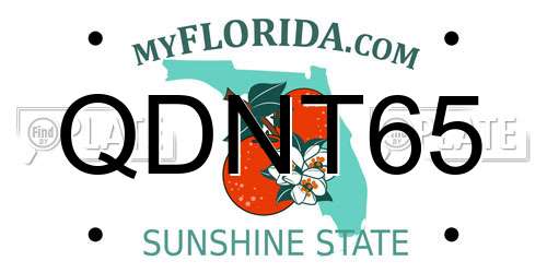 QDNT65 Florida License Plate