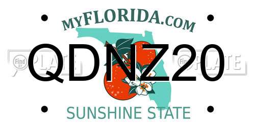 QDNZ20 Florida License Plate