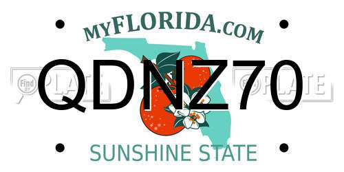 QDNZ70 Florida License Plate