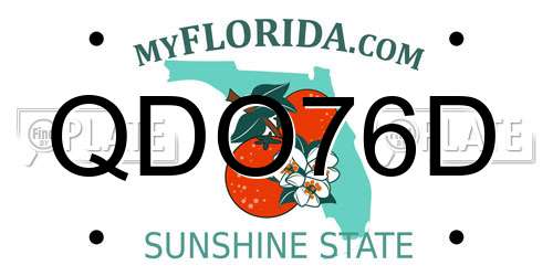 QDO76D Florida License Plate