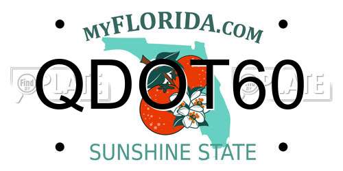 QDOT60 Florida License Plate