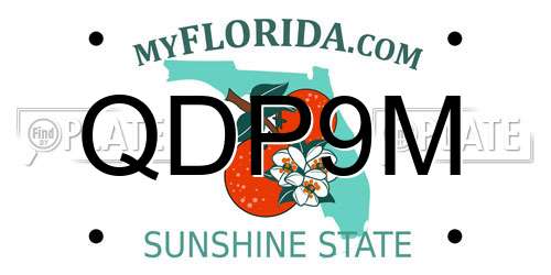 QDP9M Florida License Plate