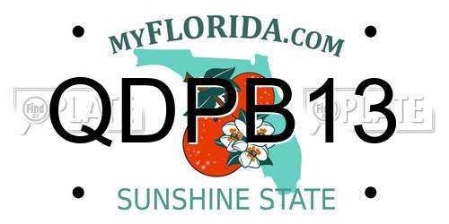 QDPB13 Florida License Plate
