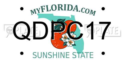 QDPC17 Florida License Plate