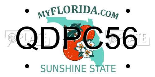 QDPC56 Florida License Plate