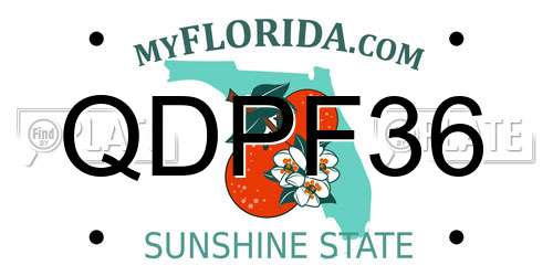 QDPF36 Florida License Plate