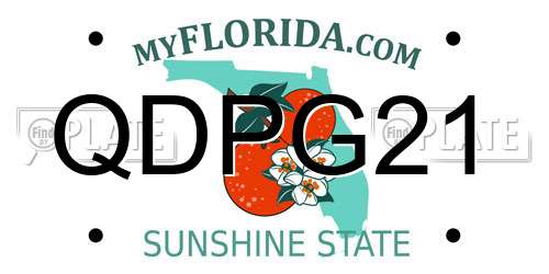 QDPG21 Florida License Plate