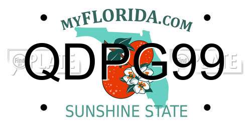 QDPG99 Florida License Plate