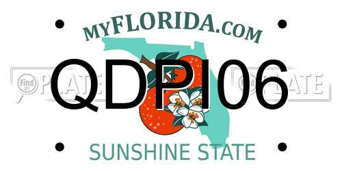 QDPI06 Florida License Plate