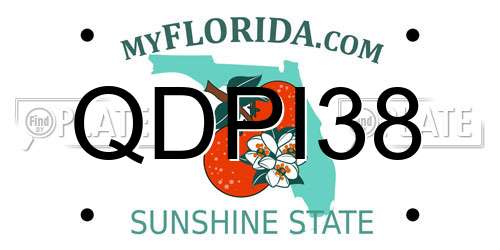 QDPI38 Florida License Plate