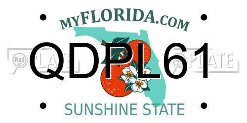 QDPL61 Florida License Plate