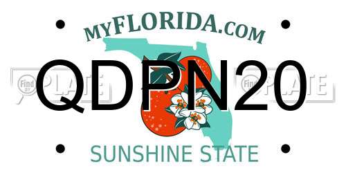 QDPN20 Florida License Plate