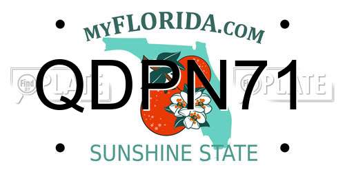 QDPN71 Florida License Plate