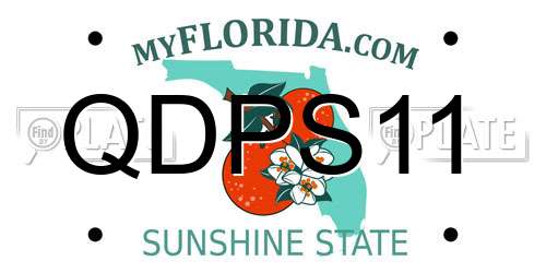 QDPS11 Florida License Plate