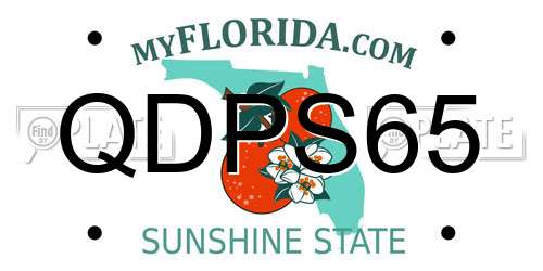 QDPS65 Florida License Plate