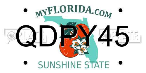 QDPY45 Florida License Plate