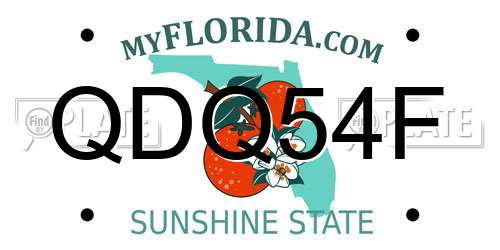 QDQ54F Florida License Plate