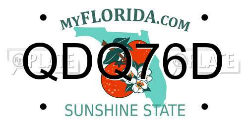 QDQ76D Florida License Plate