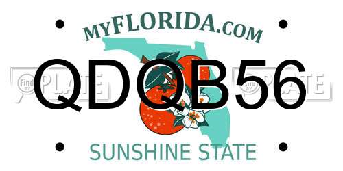 QDQB56 Florida License Plate