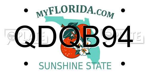QDQB94 Florida License Plate