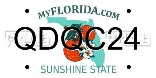 QDQC24 Florida License Plate