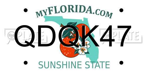 QDQK47 Florida License Plate