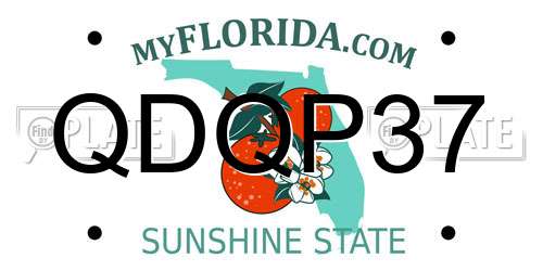 QDQP37 Florida License Plate