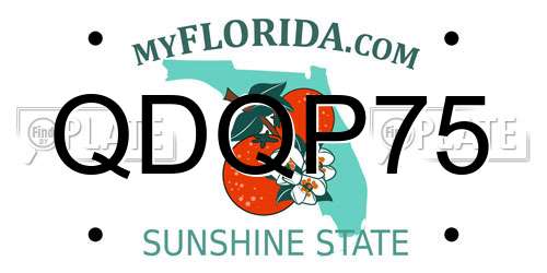 QDQP75 Florida License Plate