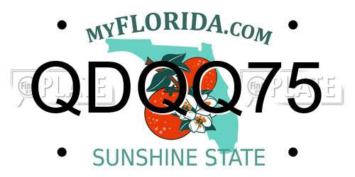 QDQQ75 Florida License Plate