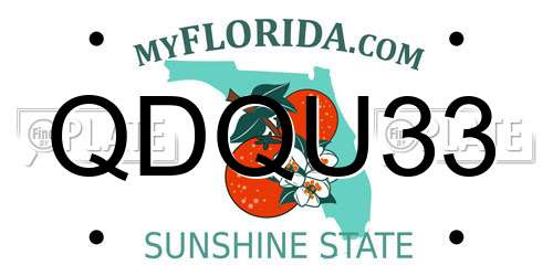 QDQU33 Florida License Plate