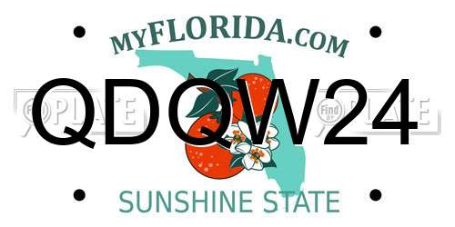 QDQW24 Florida License Plate