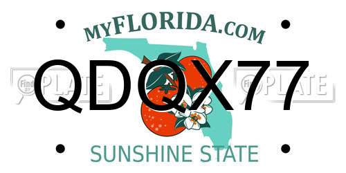 QDQX77 Florida License Plate
