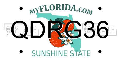 QDRG36 Florida License Plate
