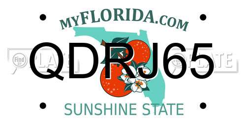 QDRJ65 Florida License Plate